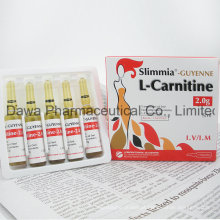 Poderoso antioxidante 2g L Carnitina Injecção para o corpo emagrecimento